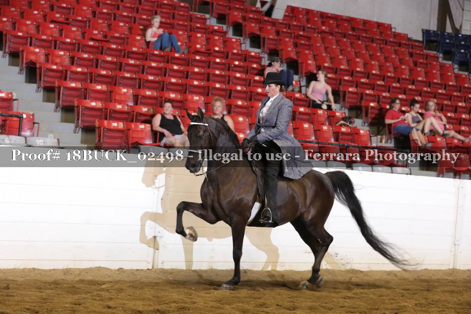 Proof 18BUCK_02498