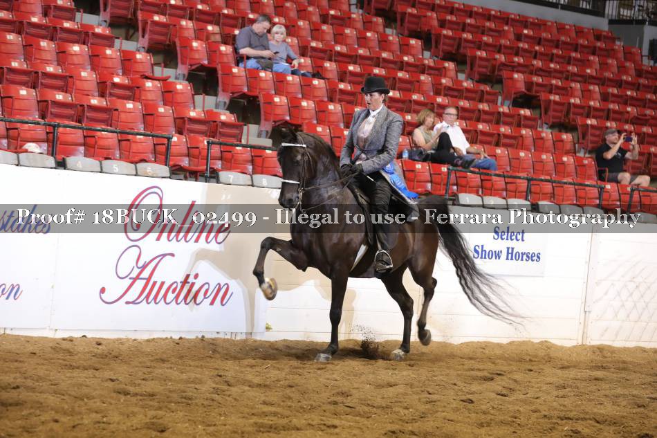 Proof 18BUCK_02499