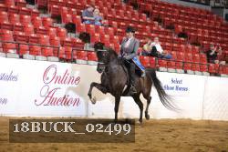18BUCK_02499 proof