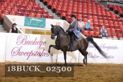 18BUCK_02500 proof