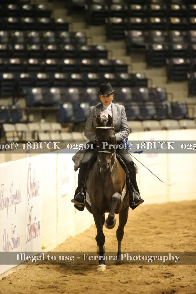 Proof 18BUCK_02501
