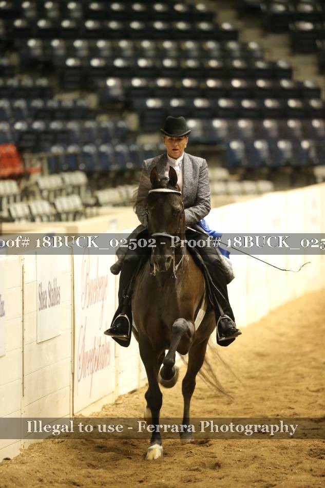 Proof 18BUCK_02502