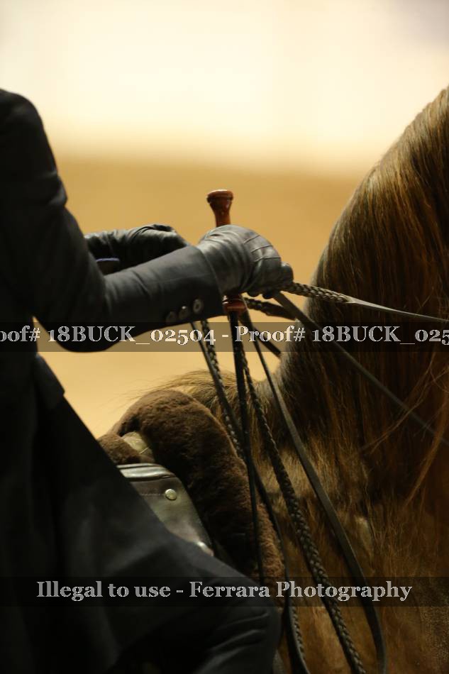 Proof 18BUCK_02504