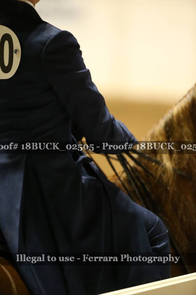Proof 18BUCK_02505