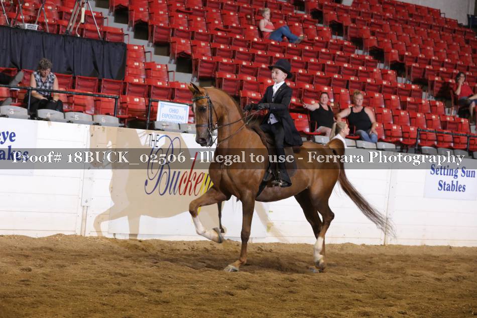 Proof 18BUCK_02506