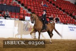 18BUCK_02506 proof