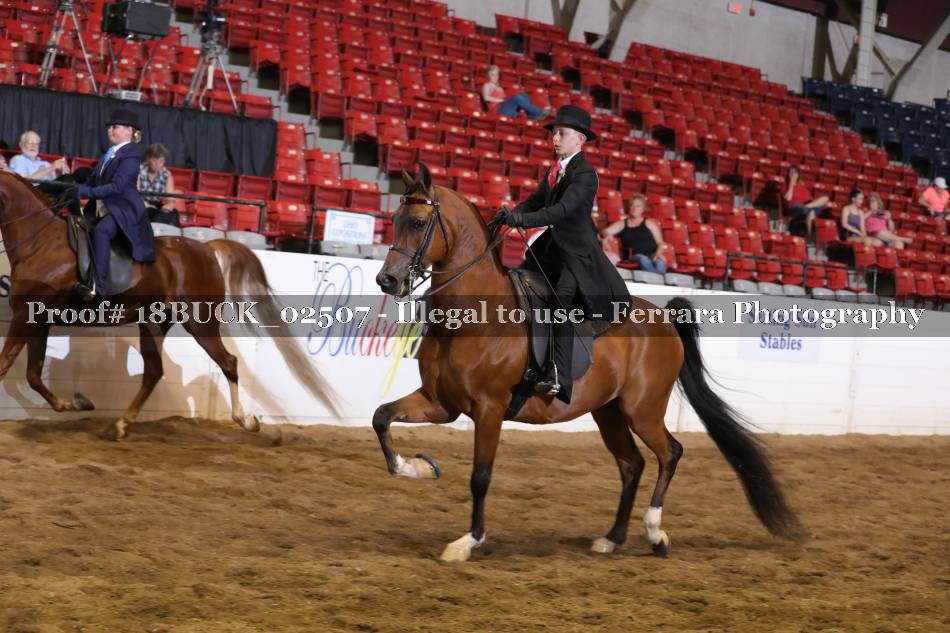 Proof 18BUCK_02507