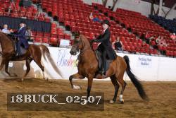 18BUCK_02507 proof