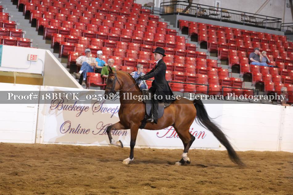 Proof 18BUCK_02508