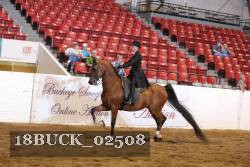 18BUCK_02508 proof