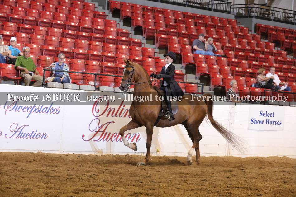 Proof 18BUCK_02509