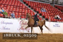 18BUCK_02509 proof