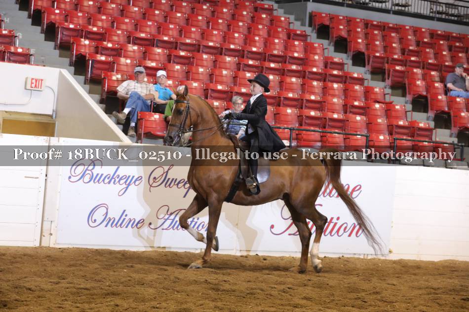 Proof 18BUCK_02510