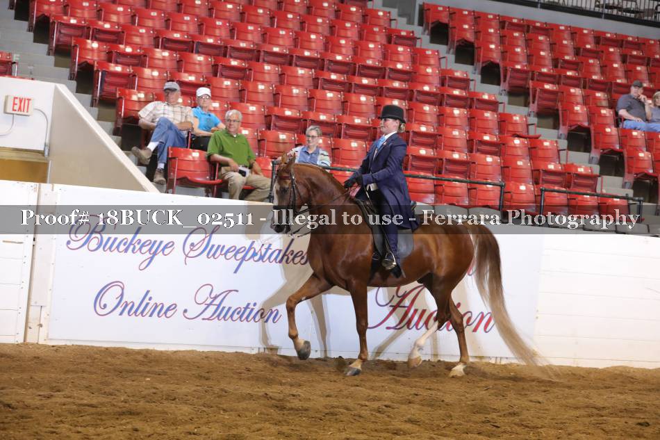 Proof 18BUCK_02511