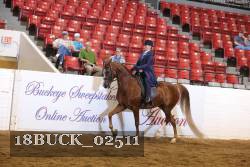 18BUCK_02511 proof