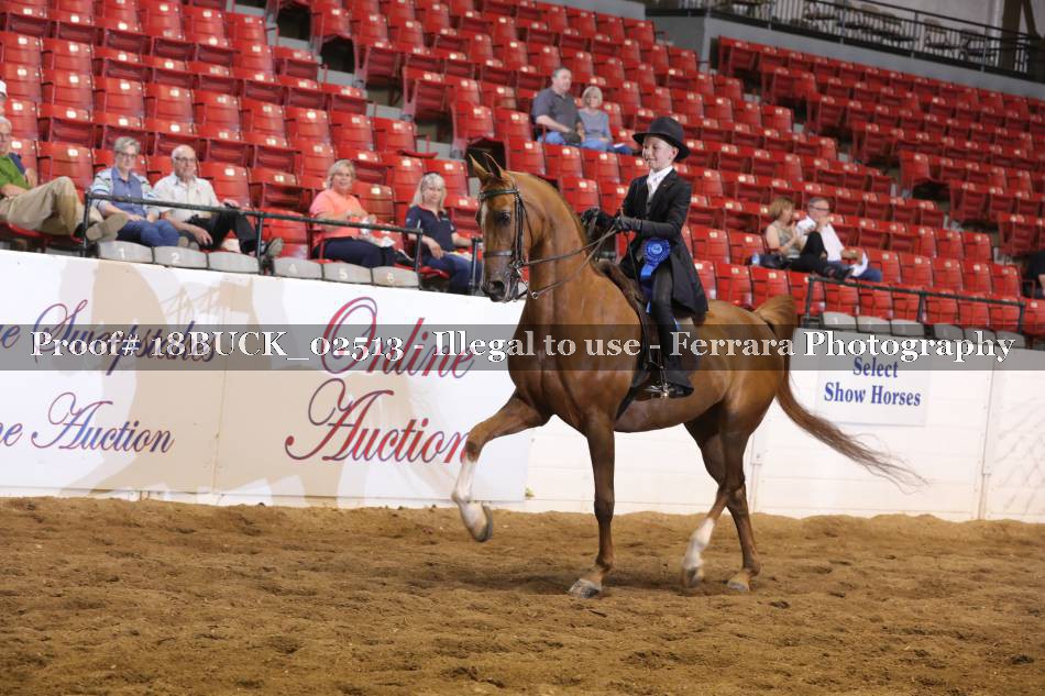 Proof 18BUCK_02513