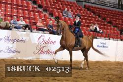 18BUCK_02513 proof