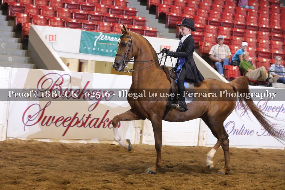 Proof 18BUCK_02516