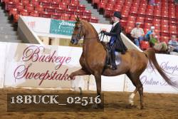 18BUCK_02516 proof