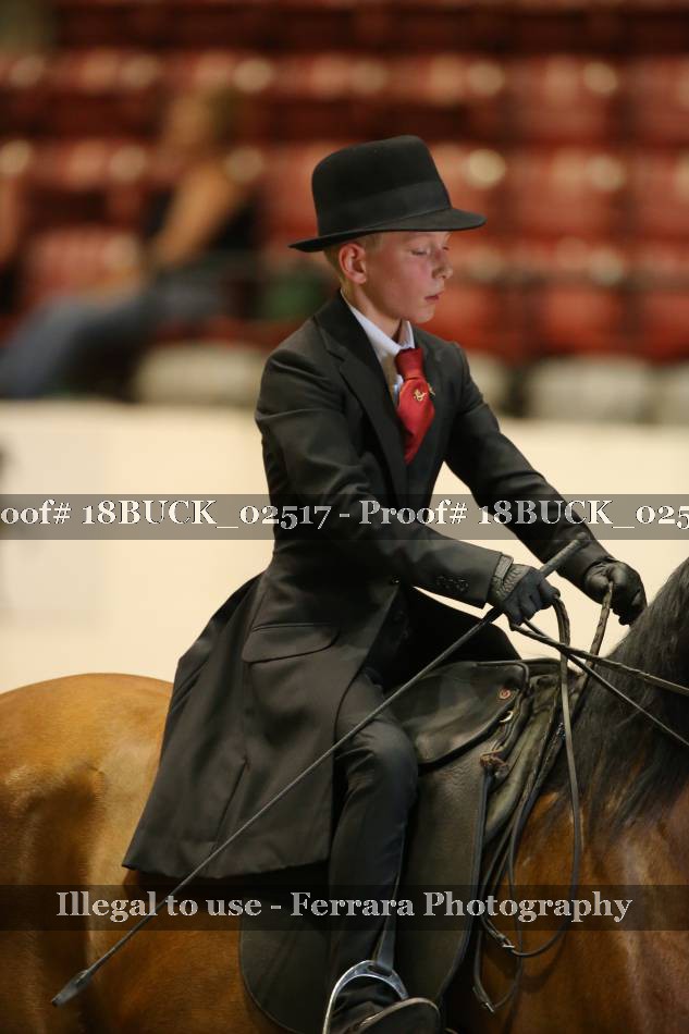 Proof 18BUCK_02517
