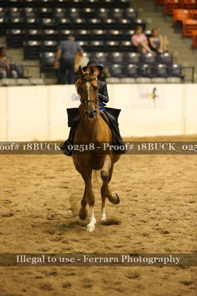 Proof 18BUCK_02518