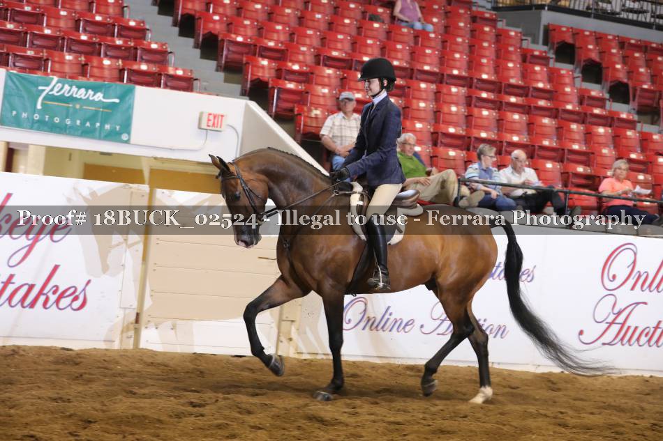 Proof 18BUCK_02524