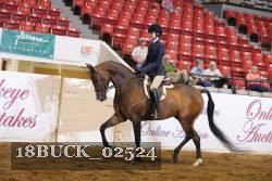 18BUCK_02524 proof