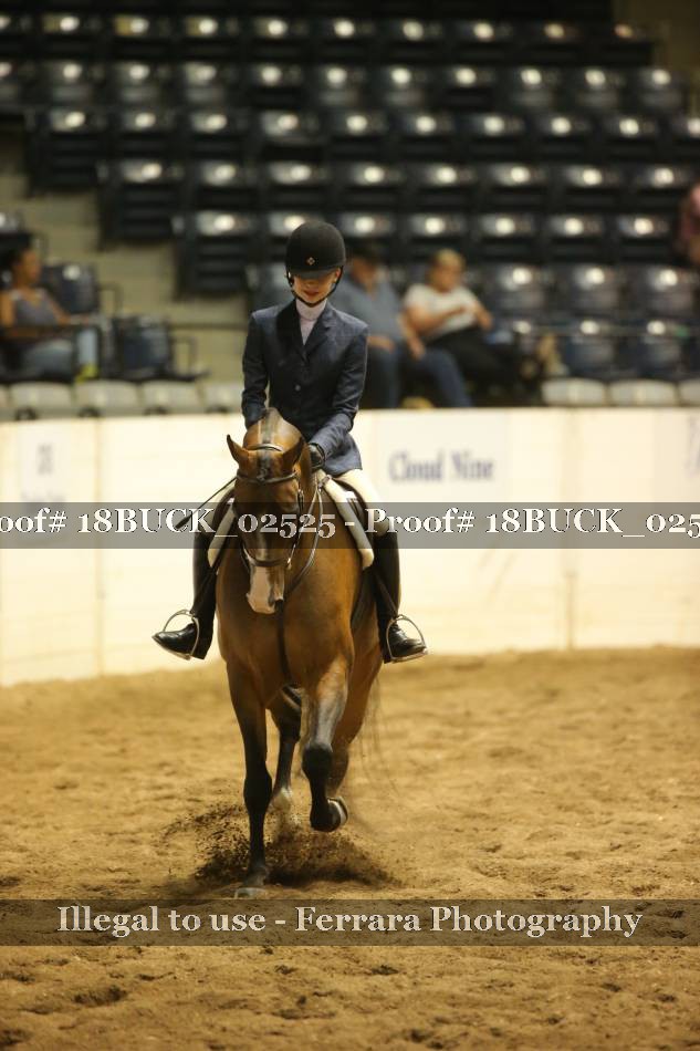 Proof 18BUCK_02525