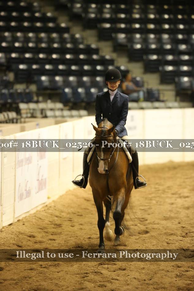 Proof 18BUCK_02526