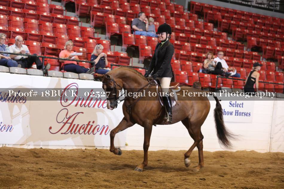 Proof 18BUCK_02527