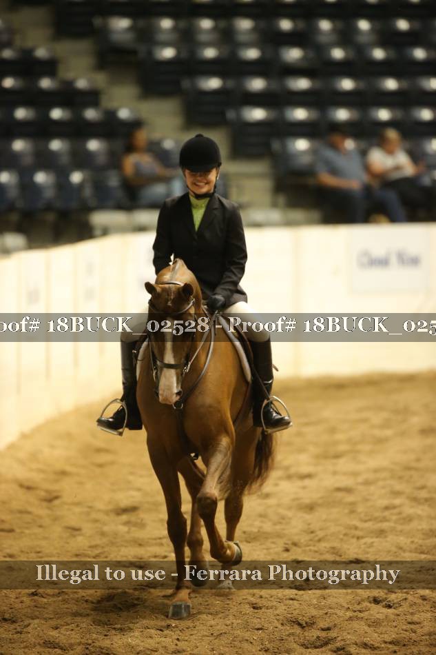 Proof 18BUCK_02528