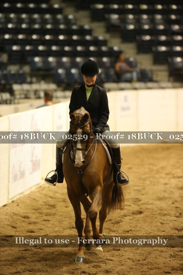 Proof 18BUCK_02529