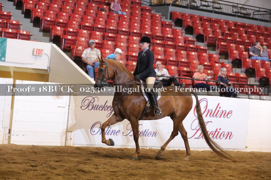 Proof 18BUCK_02530