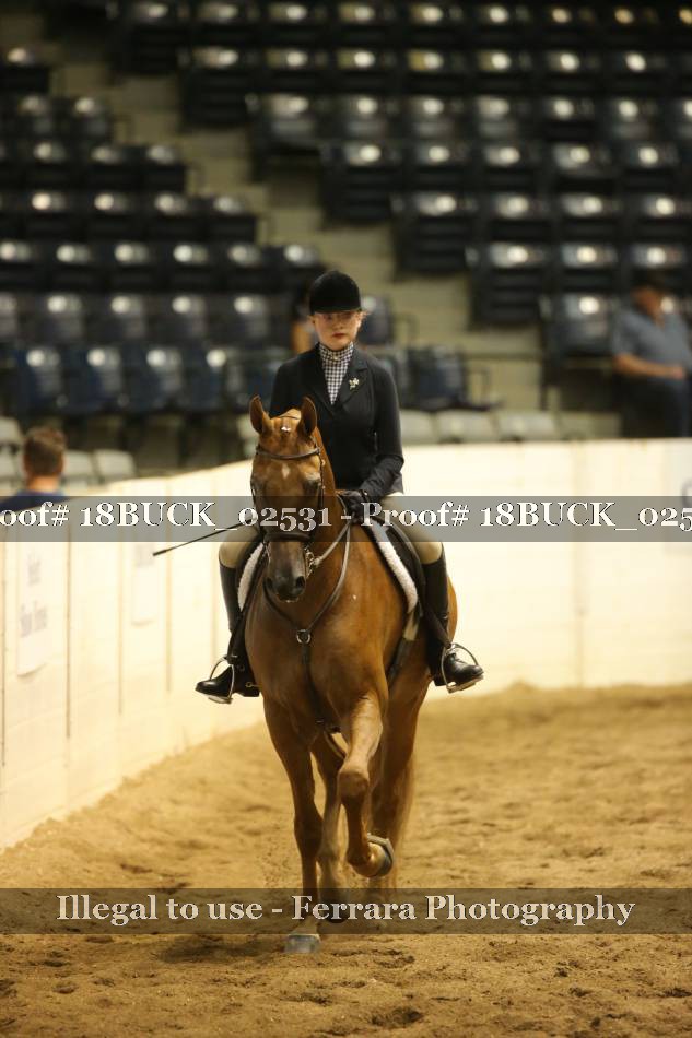 Proof 18BUCK_02531