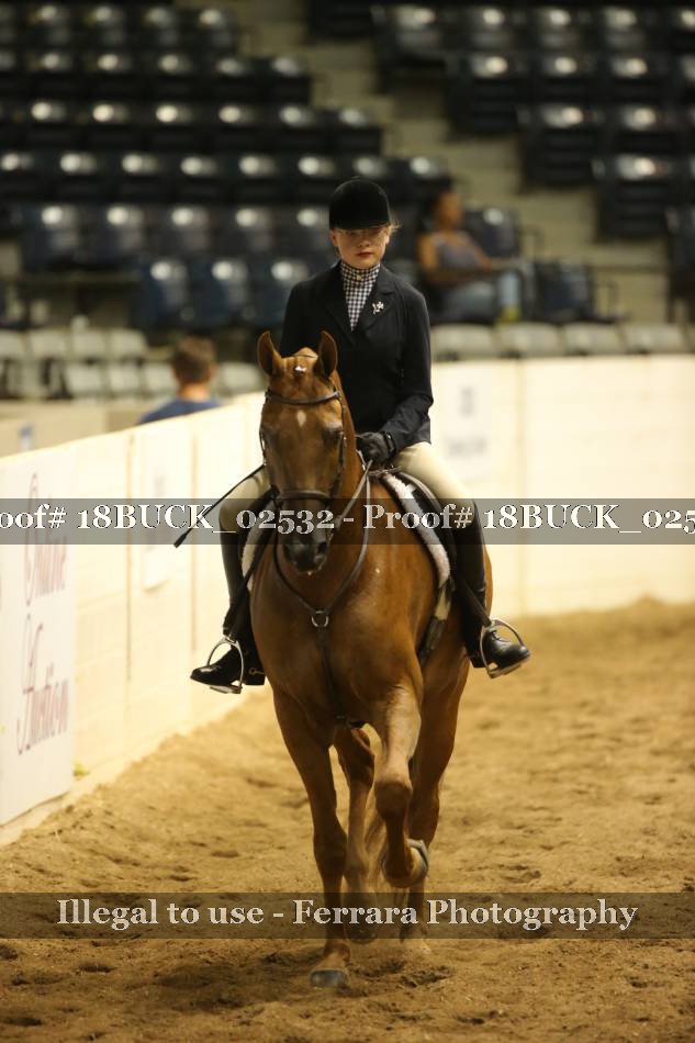 Proof 18BUCK_02532
