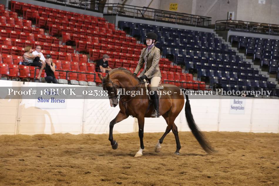 Proof 18BUCK_02533