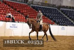 18BUCK_02533 proof