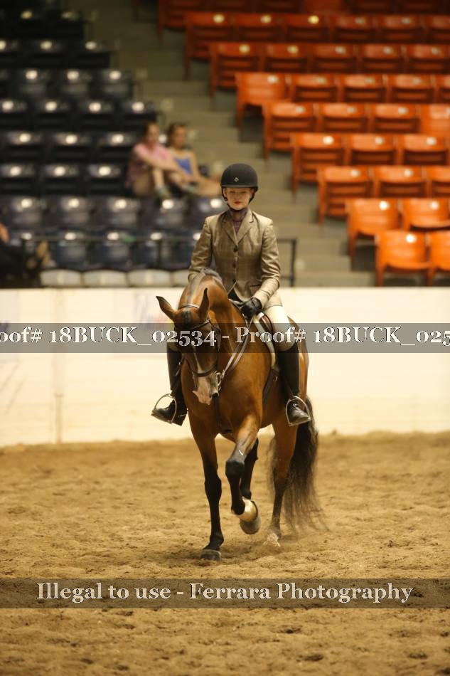 Proof 18BUCK_02534