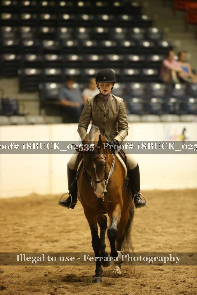 Proof 18BUCK_02535