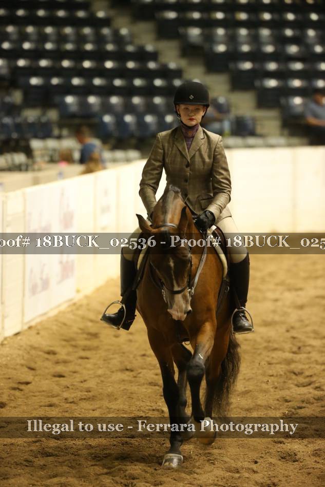 Proof 18BUCK_02536