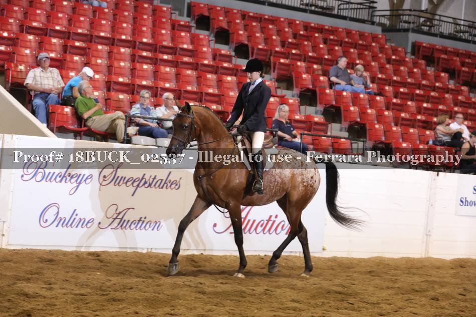 Proof 18BUCK_02537