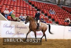 18BUCK_02537 proof