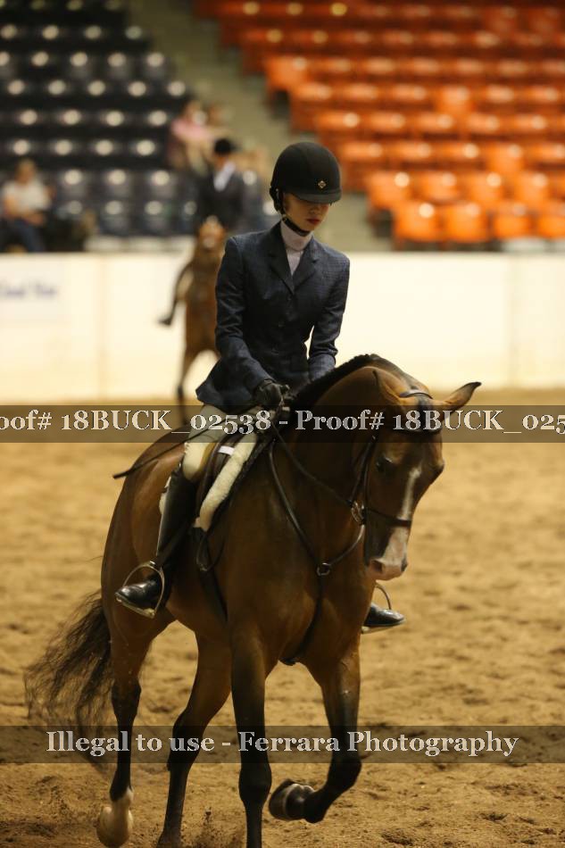 Proof 18BUCK_02538