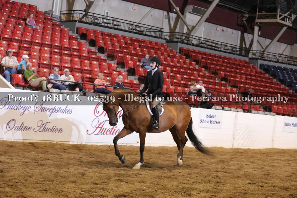 Proof 18BUCK_02539