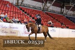 18BUCK_02539 proof