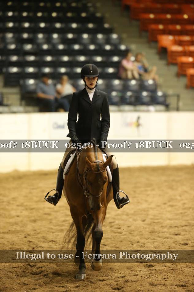 Proof 18BUCK_02540