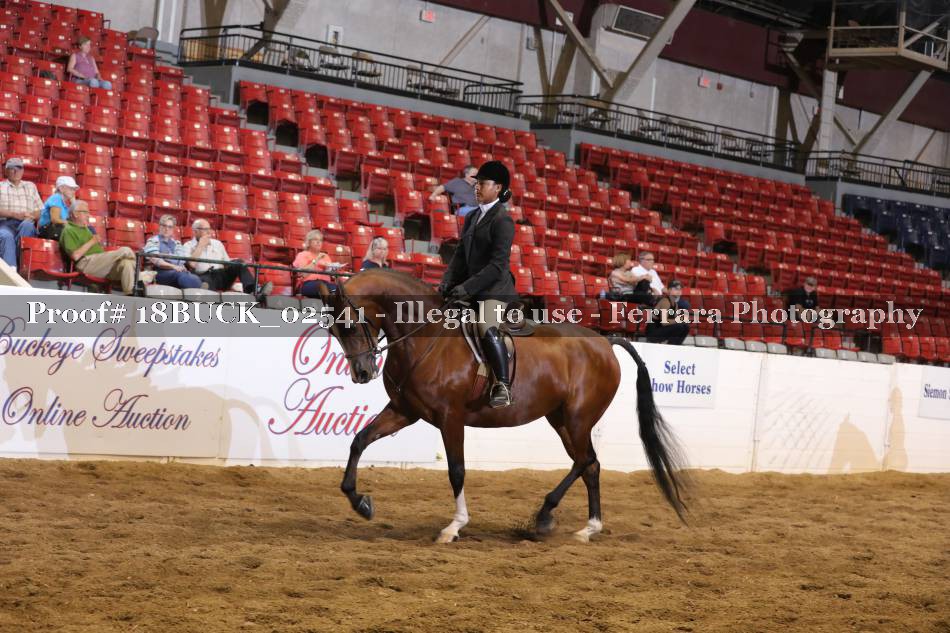 Proof 18BUCK_02541
