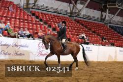18BUCK_02541 proof