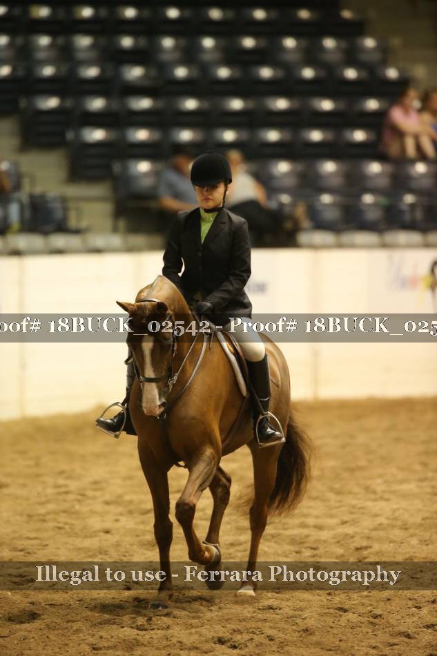 Proof 18BUCK_02542