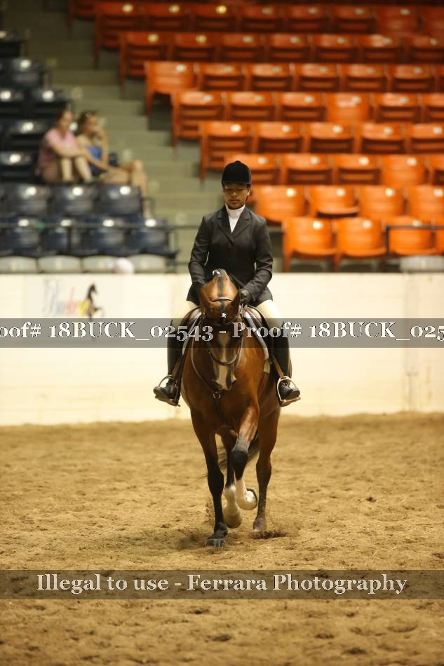 Proof 18BUCK_02543